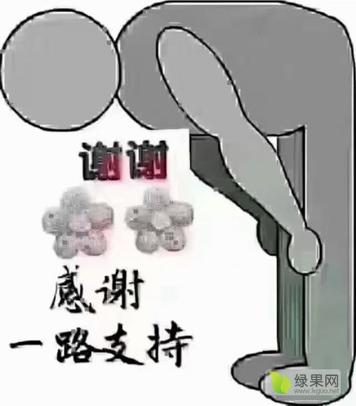 專業商品房代購代銷服務，質量三包，信譽保證